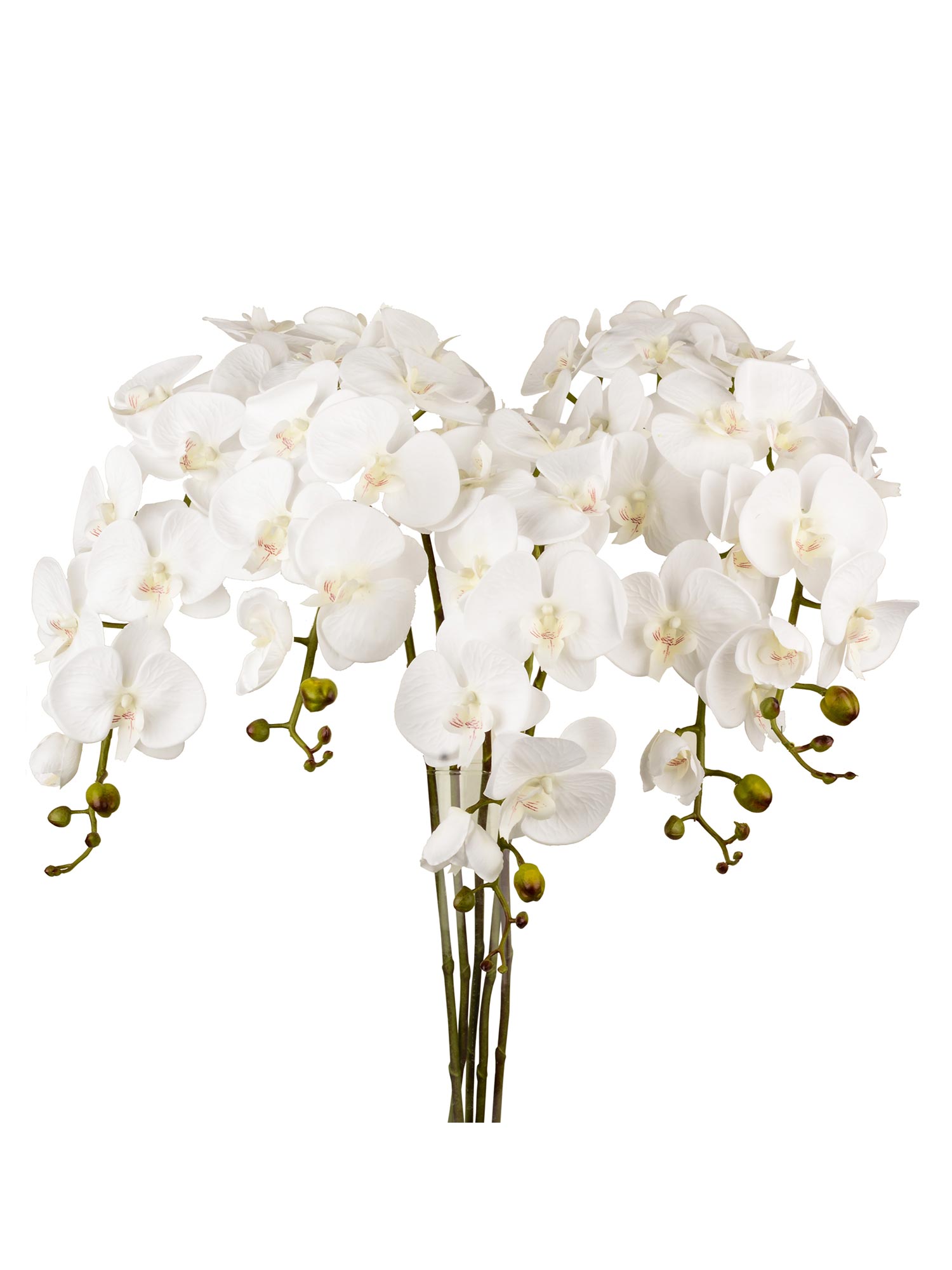 شاخه گل ارکیده 10 گل پارچه ای رنگ سفید