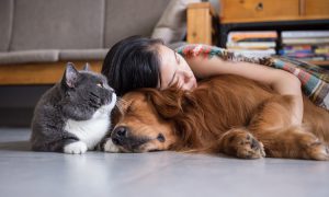 حیوانات خانگی برای رفع خستگی و تجدید قوا